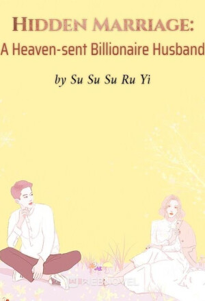 Hidden Marriage: A Heaven-sent Billionaire Husband